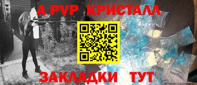 стаф Кунгур