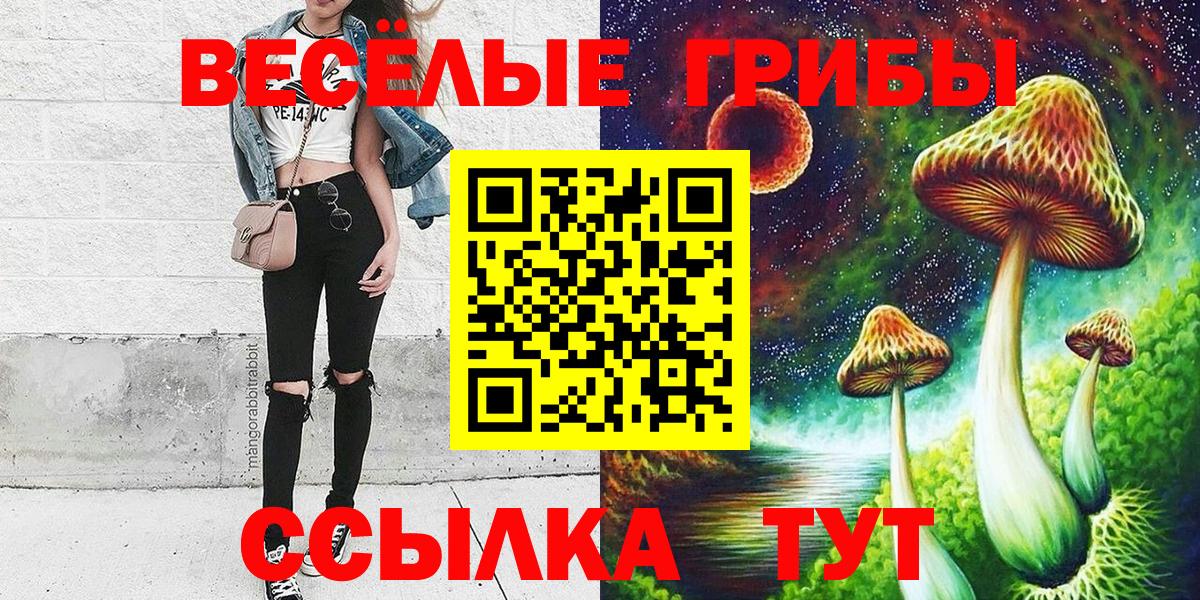 Псилоцибиновые грибы Psilocybe  Вход с VPN  Гусев 